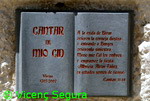 ampliar